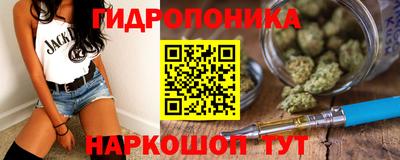 бошки Можга
