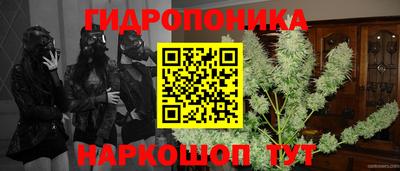 Альфа ПВП Можайск