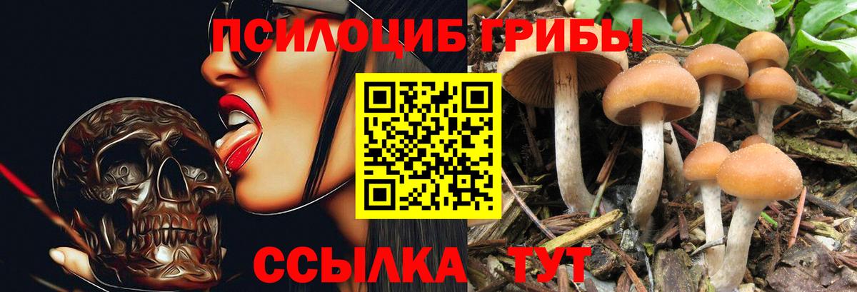 Псилоцибиновые грибы ЛСД Чайковский
